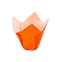 Chese Tulip Orange Lalea 50x160x160mm (150buc)
