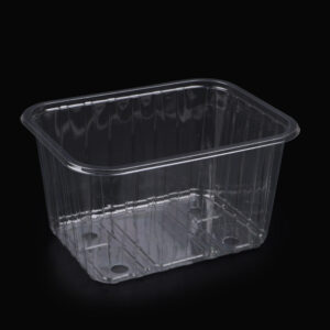 Caserole Fructe 1000gr,Transparente (1000buc)