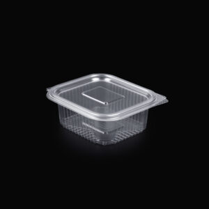 Caserole PP 250GR 145X104X43mm (100buc)