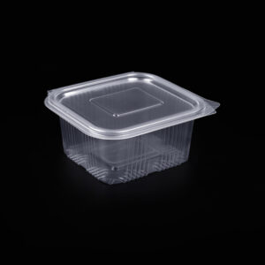 Caserole PP 500GR 245X129.5X56.5mm (100buc)