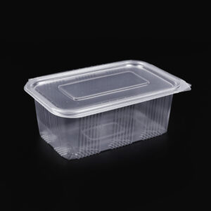 Caserole PP 1000GR 254X193X70mm (100buc)